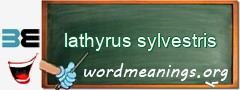 WordMeaning blackboard for lathyrus sylvestris